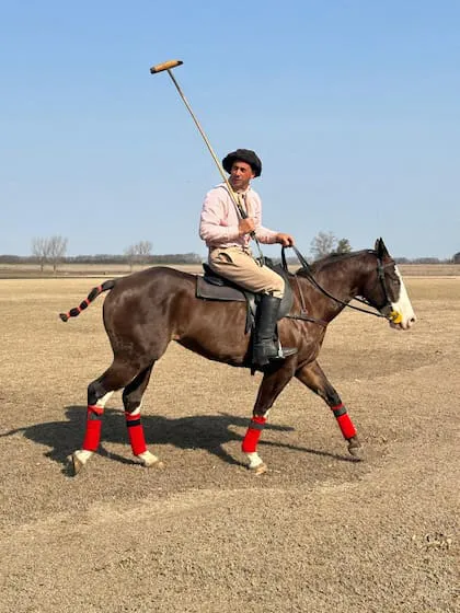 el-caballo-que-tuvo-solo-un-mes-de-HJCEPTQPV5H6NOWW3HSYTVPUBU