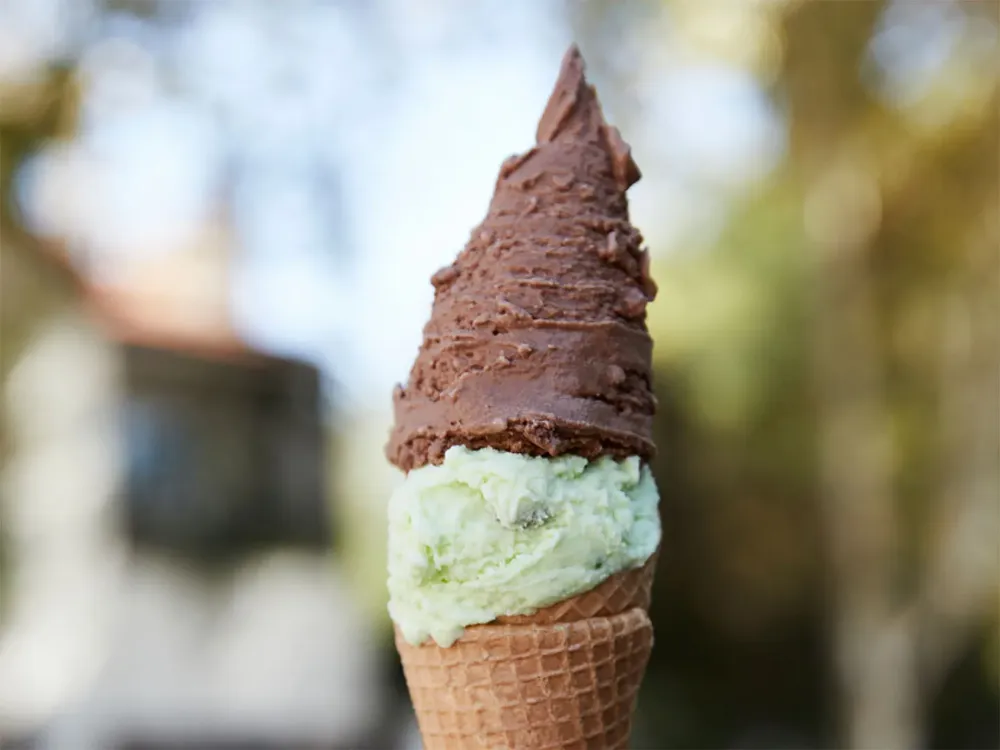 afadhya-bromatologia