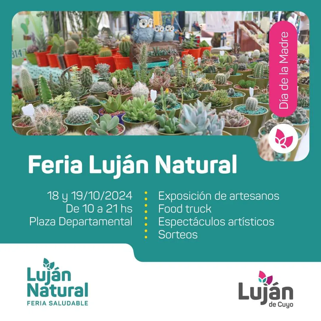 FB_IMG_1728866680062