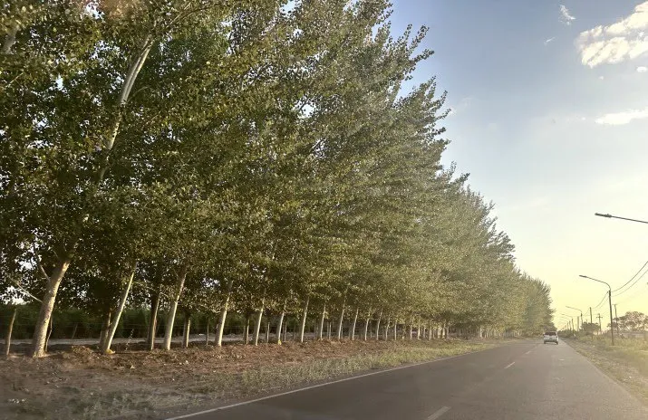 67ab0d624d9b9_715_464!